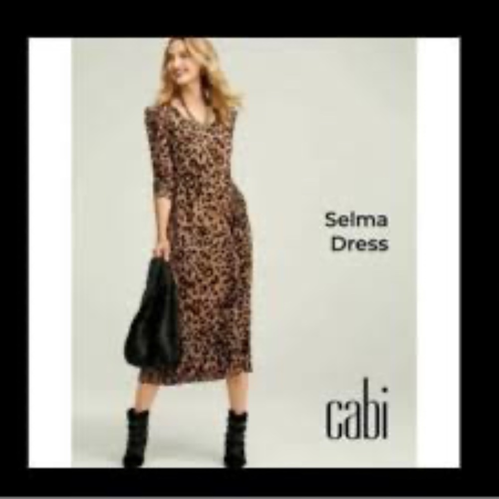 Cabi Selma Dress - Picture 5 of 7